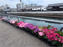 004- Dejima